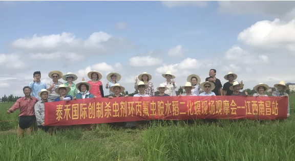 水稻二化螟為害肆意猖獗 環(huán)丙氟蟲胺出手技驚四座 ——創(chuàng)新殺蟲劑環(huán)丙氟蟲胺水稻二化螟藥效田試年內(nèi)首秀