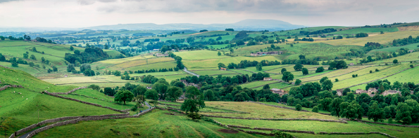 泰禾國際新型制冷劑R486A等榮獲美國ASHRAE認(rèn)證