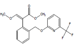 1539310491819671.png 25.png