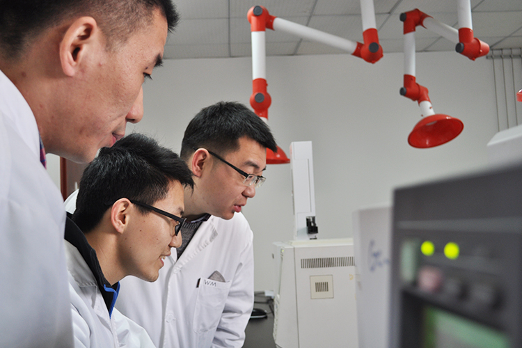 1539330519489546.jpg 大家庭3.jpg